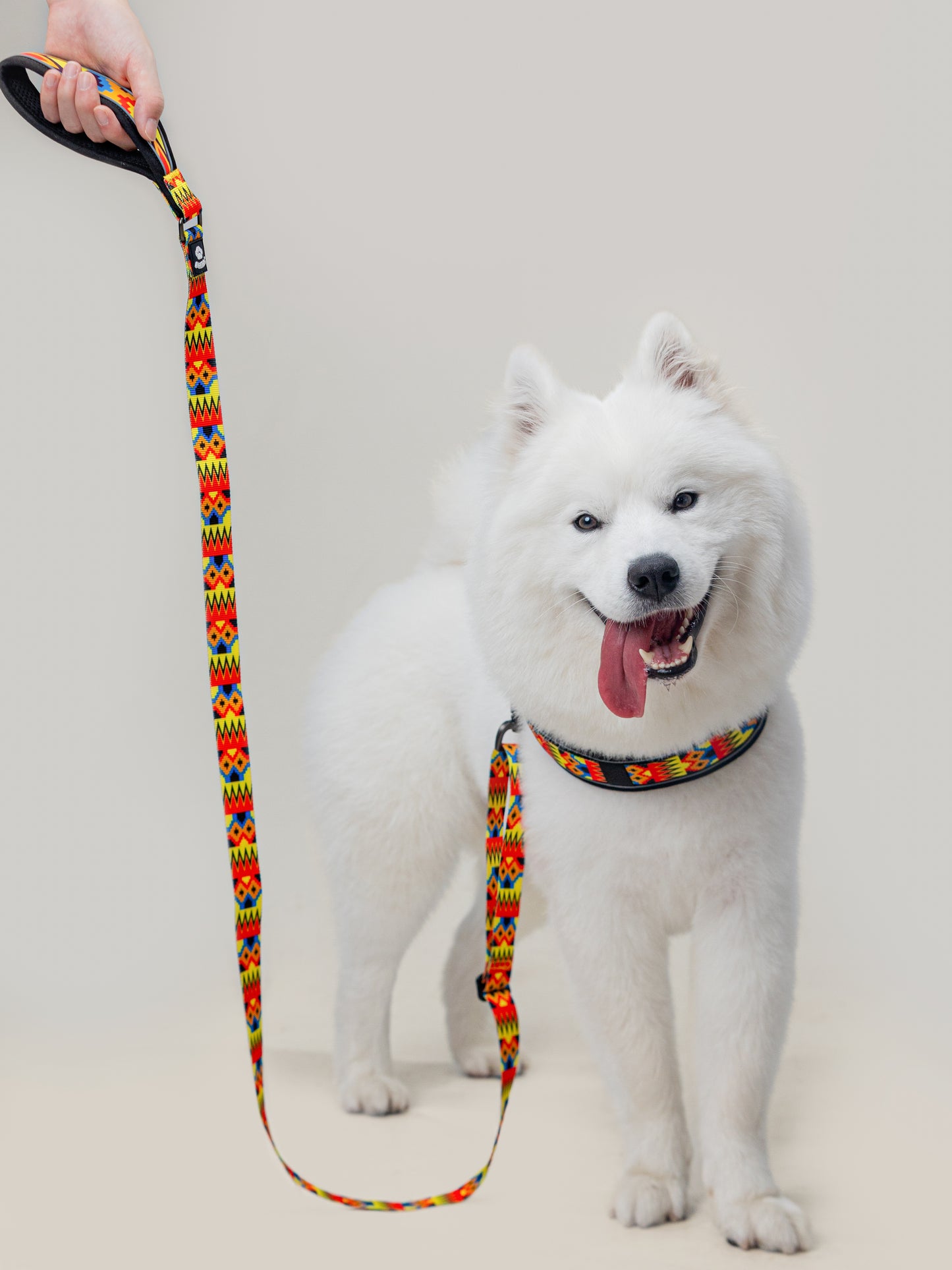 Origin Leash