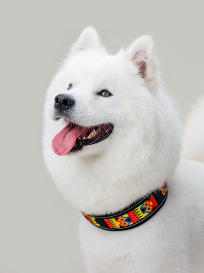 Origin Collar