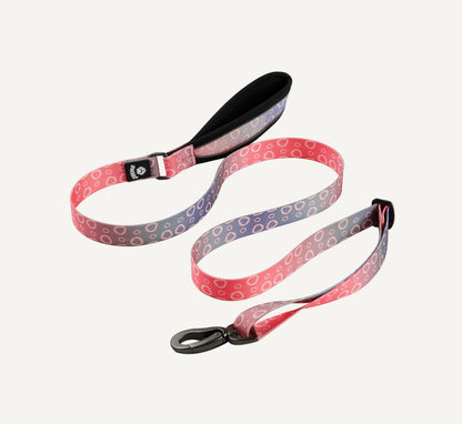 Origin Leash