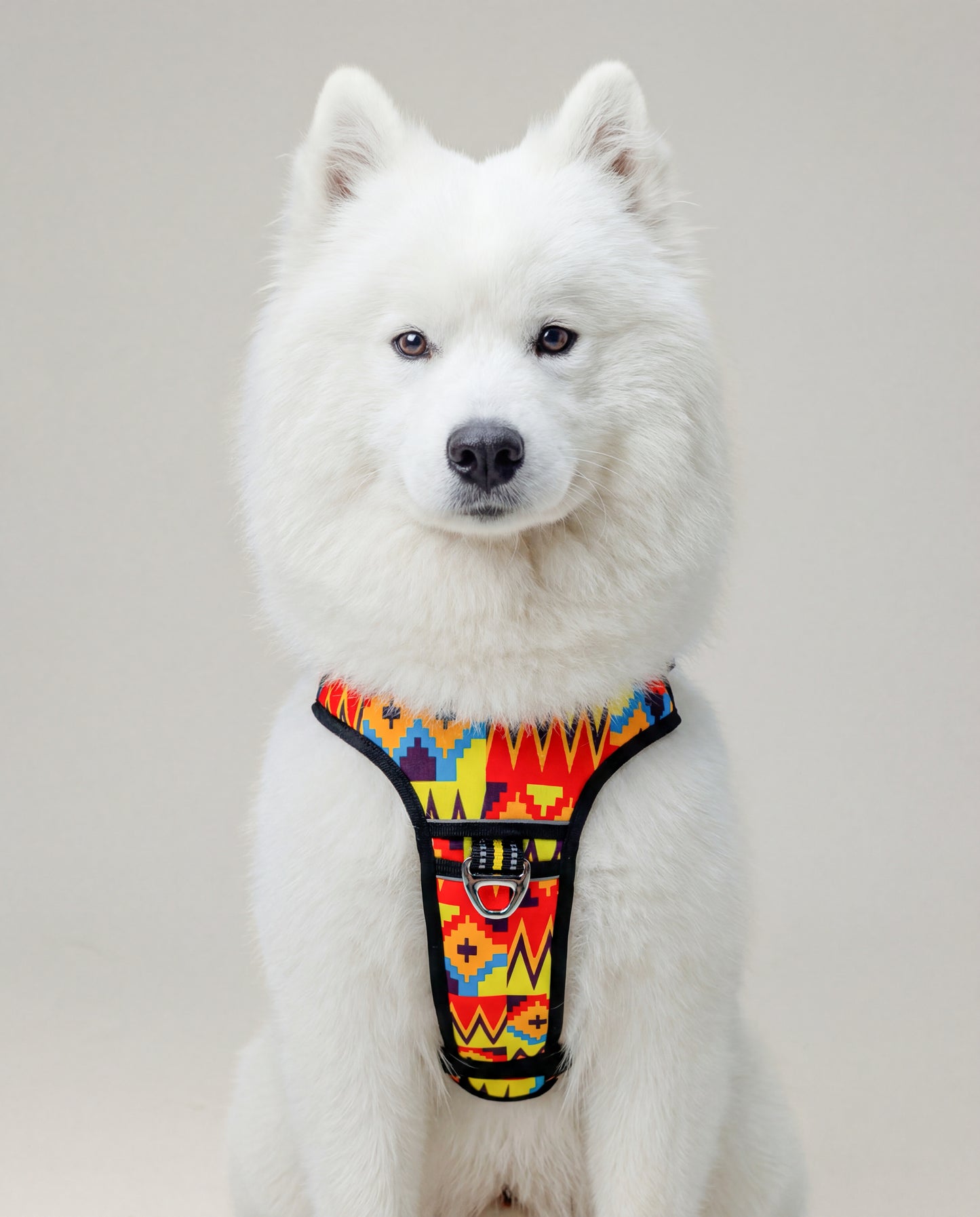 Origin Harness