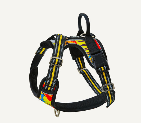Origin Harness