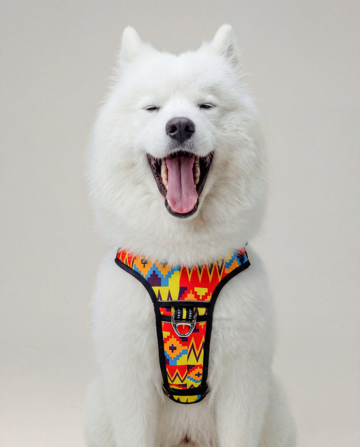 Origin Harness