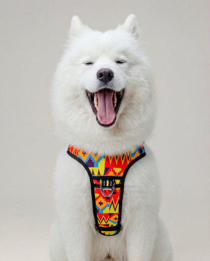 Origin Harness