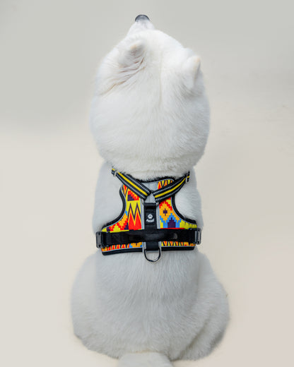 Origin Harness