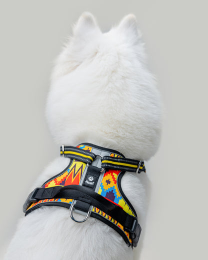 Origin Harness