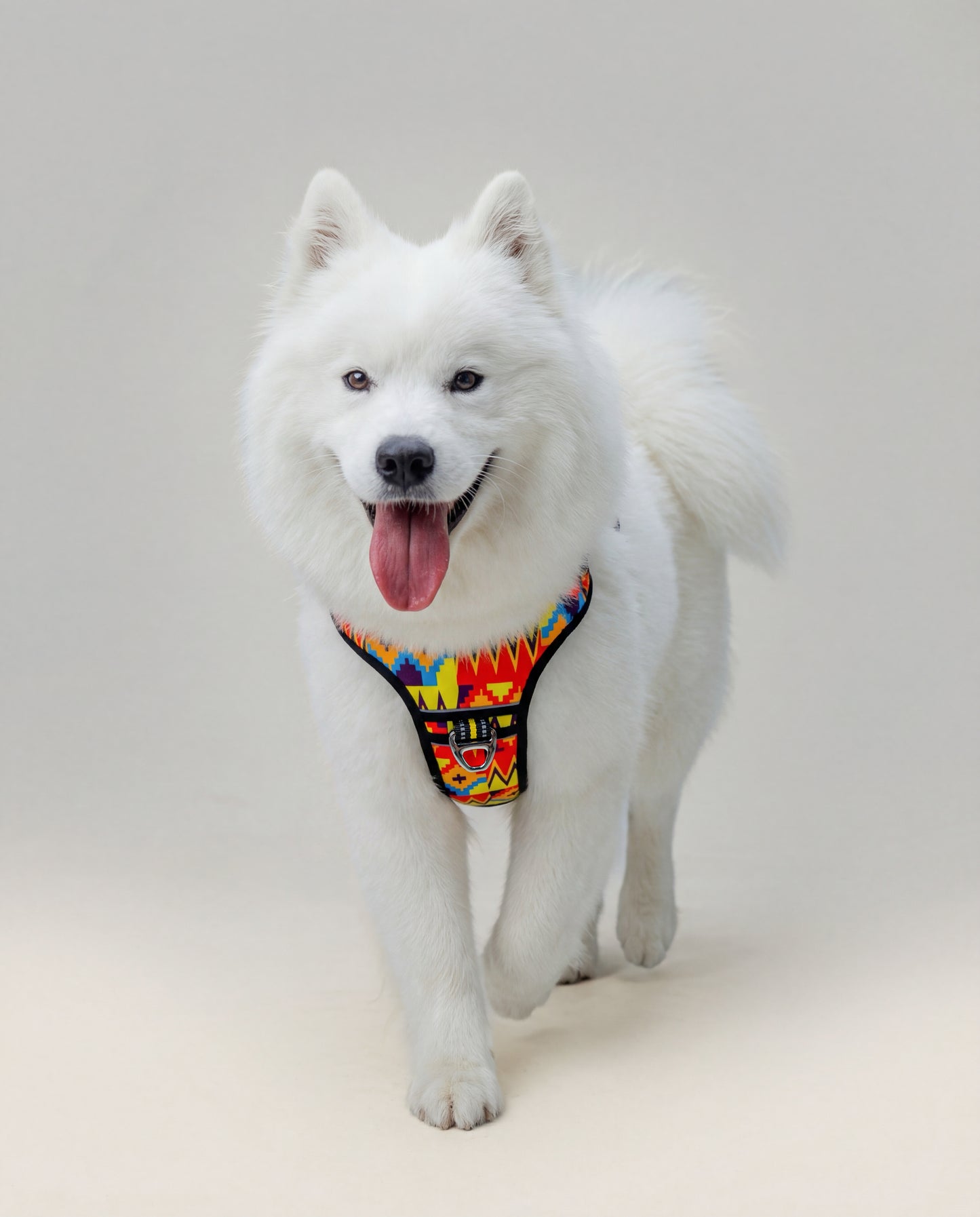 Origin Harness