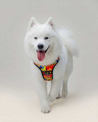 Origin Harness