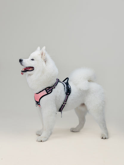 Origin Harness