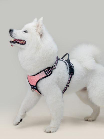 Origin Harness