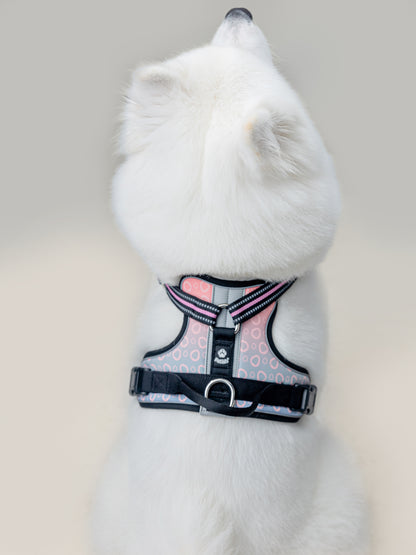 Origin Harness