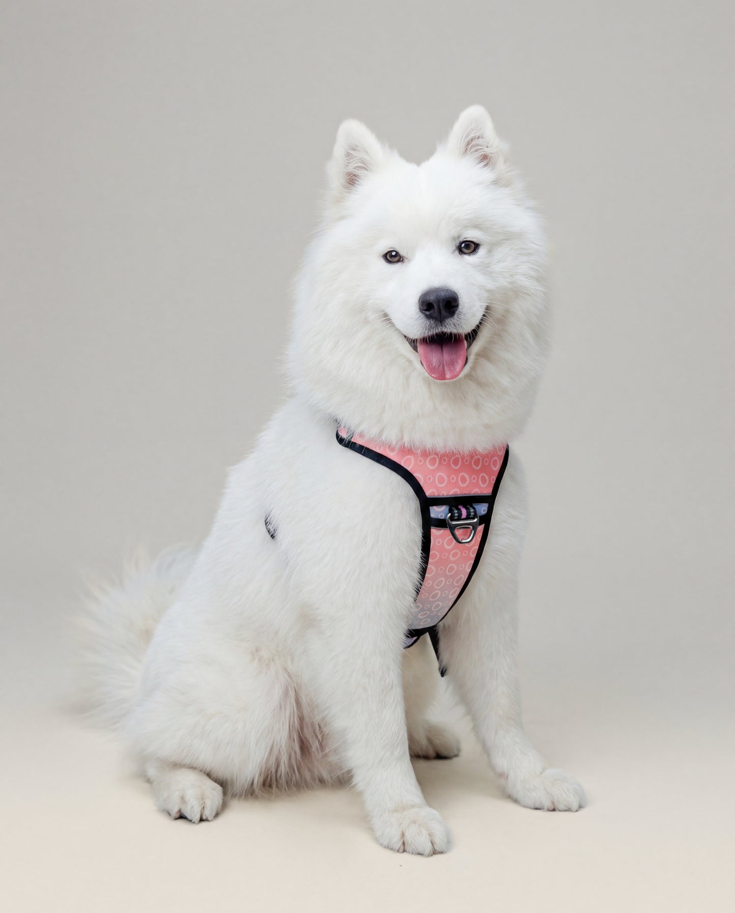 Origin Harness