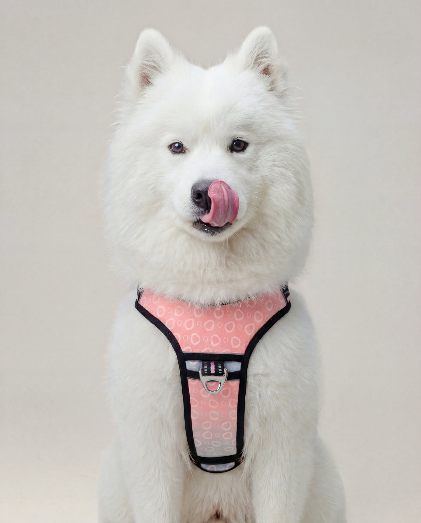 Origin Harness