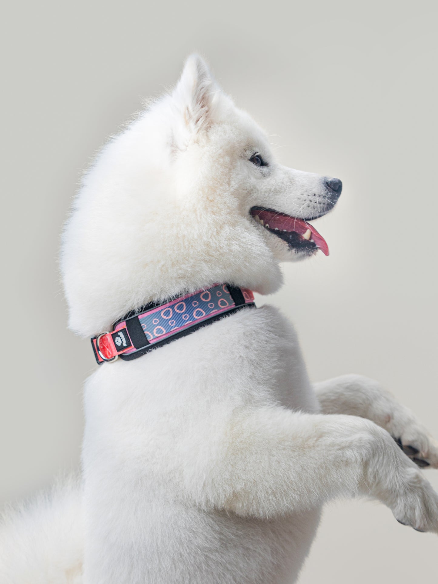 Origin Collar