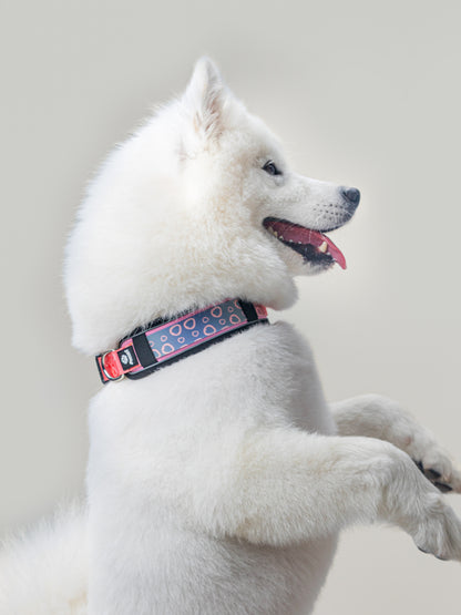 Origin Collar
