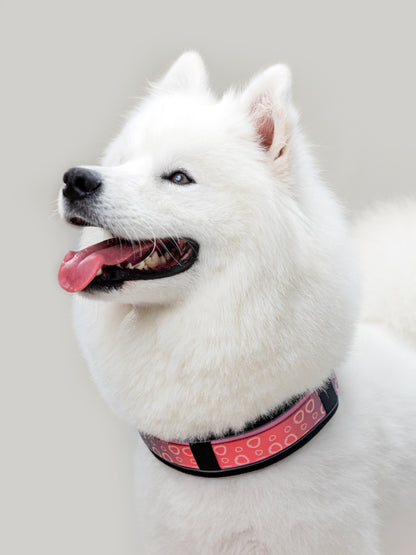 Origin Collar