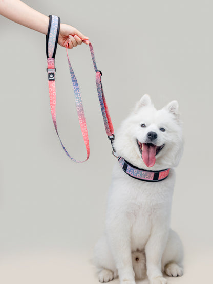 Origin Leash