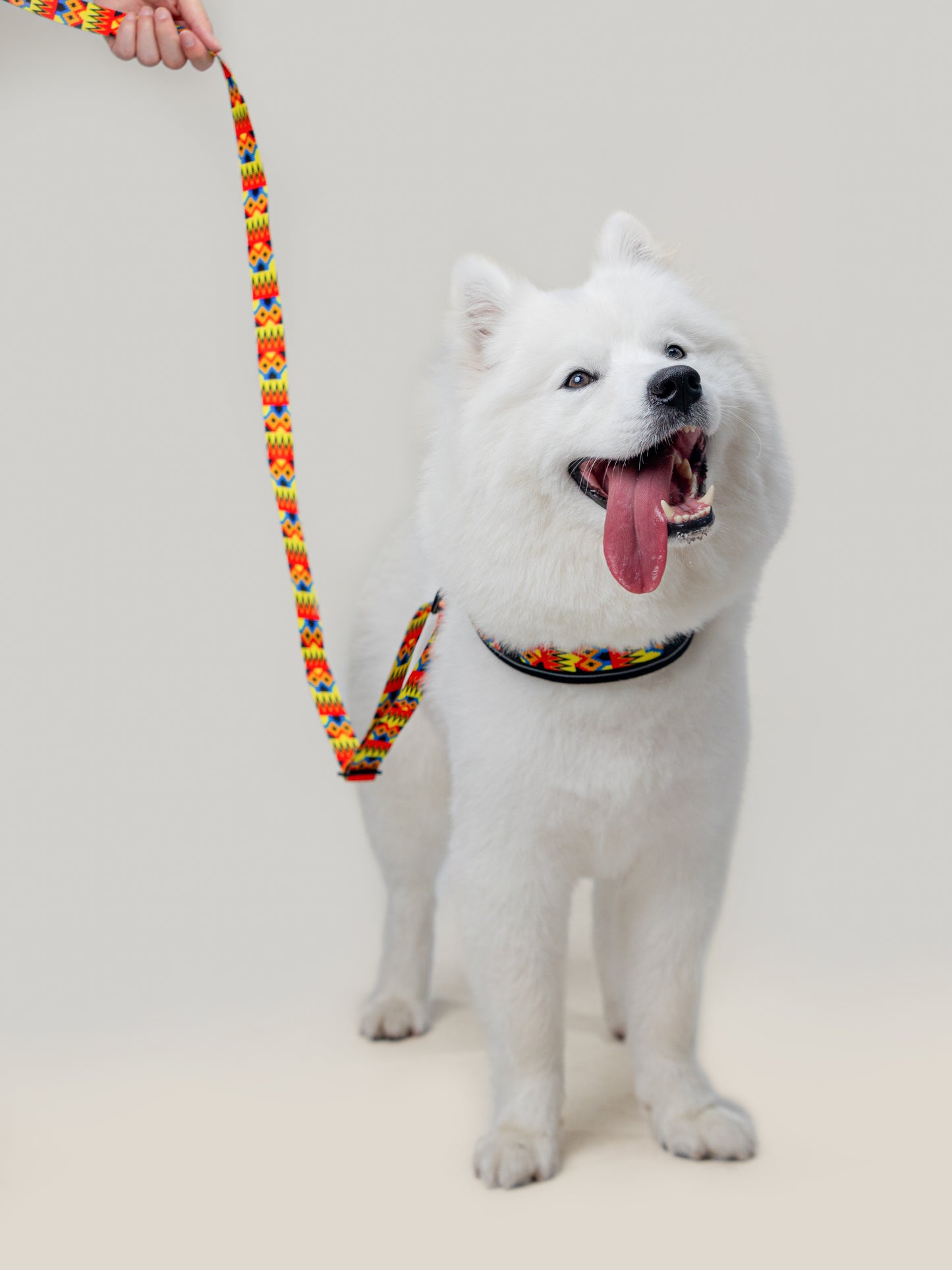Origin Leash