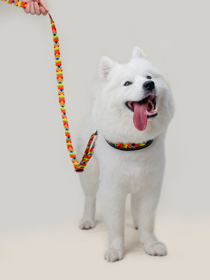 Origin Leash