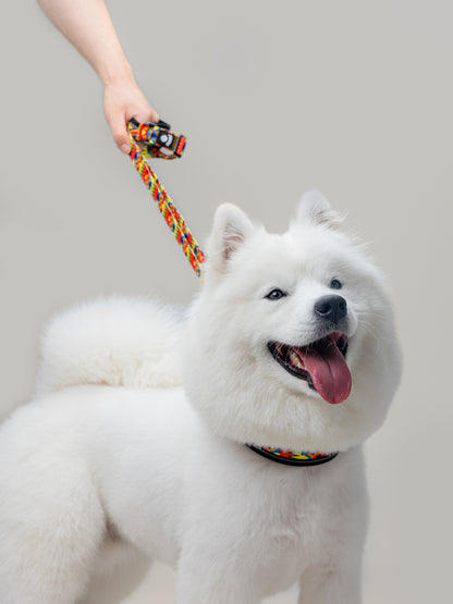 Origin Leash