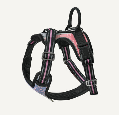 Origin Harness