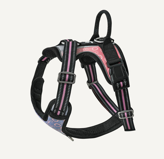 Origin Harness