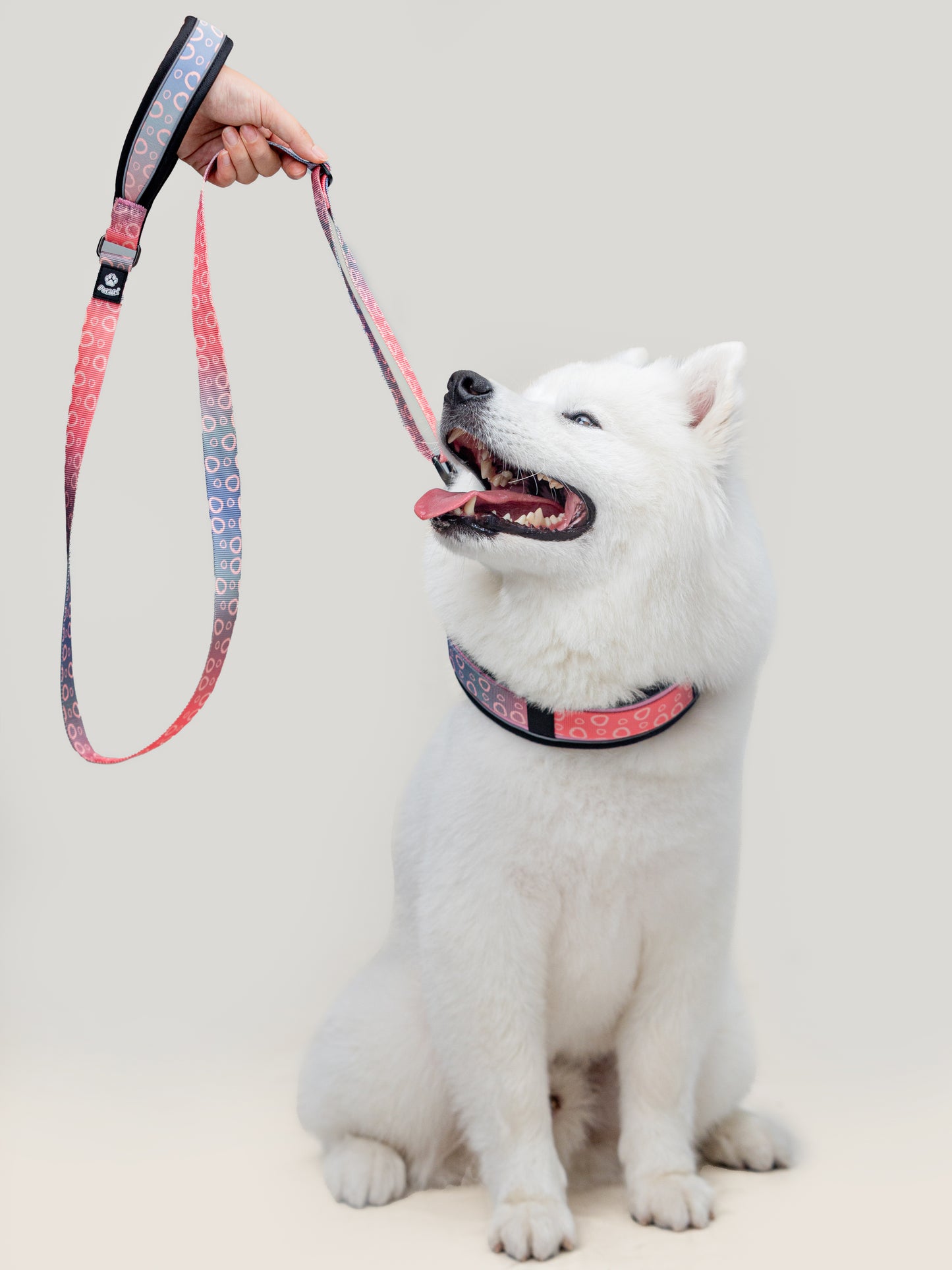 Origin Leash
