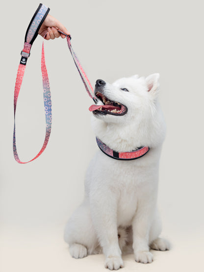 Origin Leash